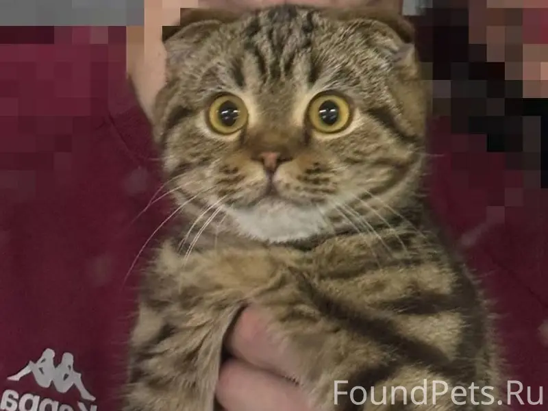 Здравствуйте,может кто нибудь ...