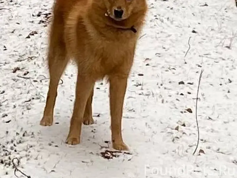 Опубликуйте пожалуйста. В райо...