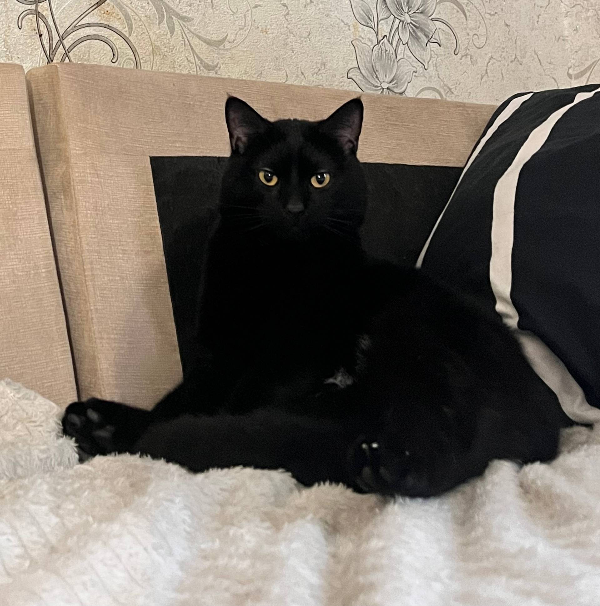 В районе варавино-фактория на ...