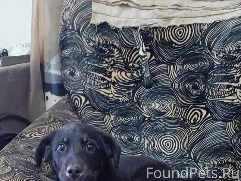 На улицу Чкалова д. 21 прибилс...