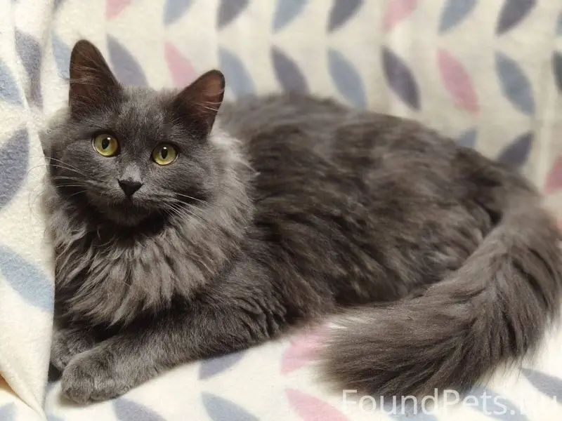 ❗ВНИМАНИЕ! ПОМОГИТЕ В ПОИСКЕ!📢...