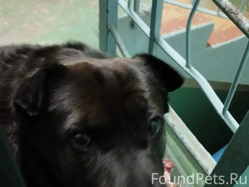 На Бредова 30 с 22.00...