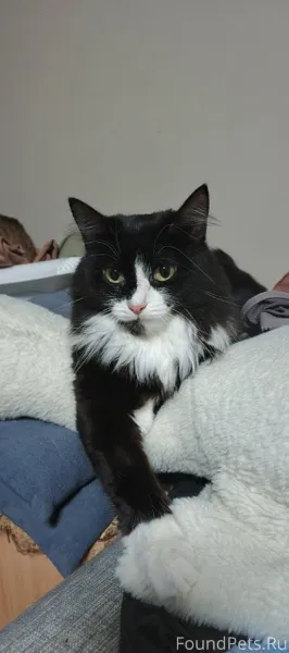 Сколько читаю посты, везде пиш...