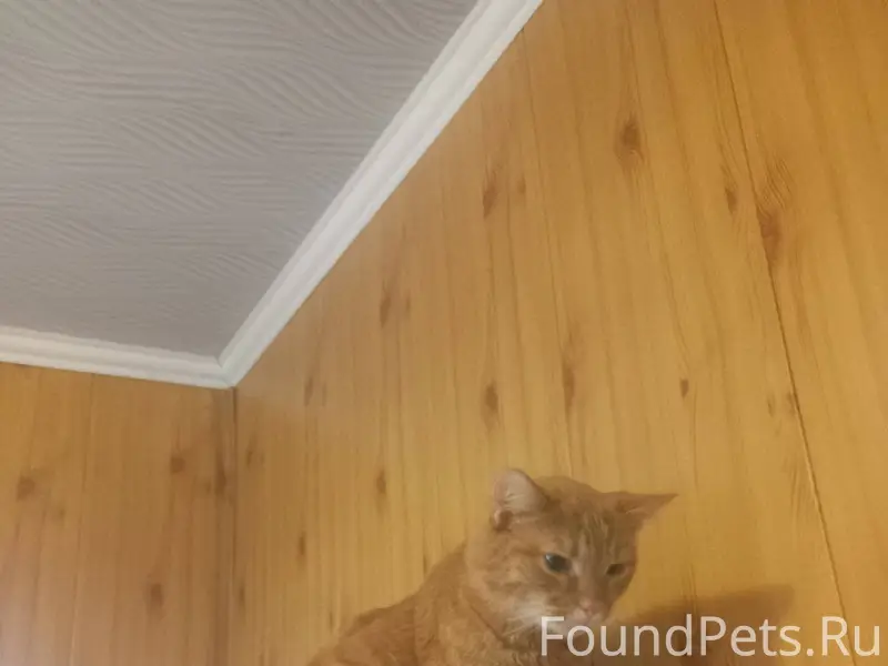 Здравствуйте! Может кто-то пот...