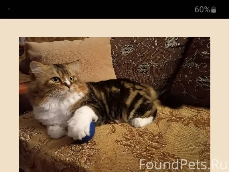 Внимание! Город Казань Пропал ...