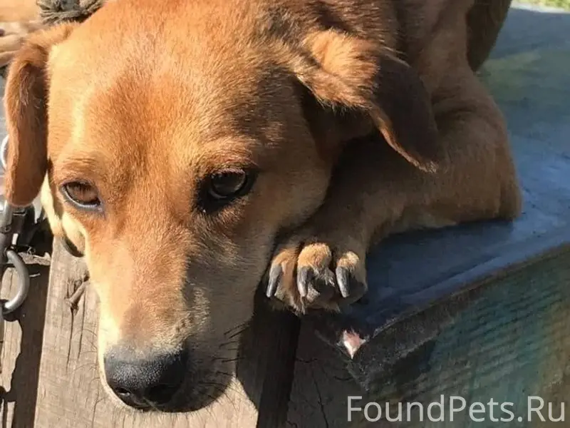 ‼️Внимание неравнодушных гражд...