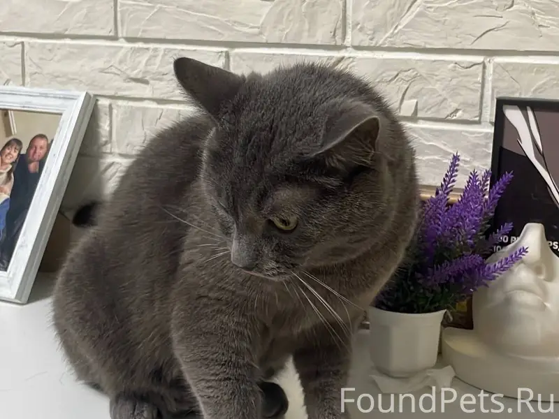 Всем привет! Просьба сделать м...