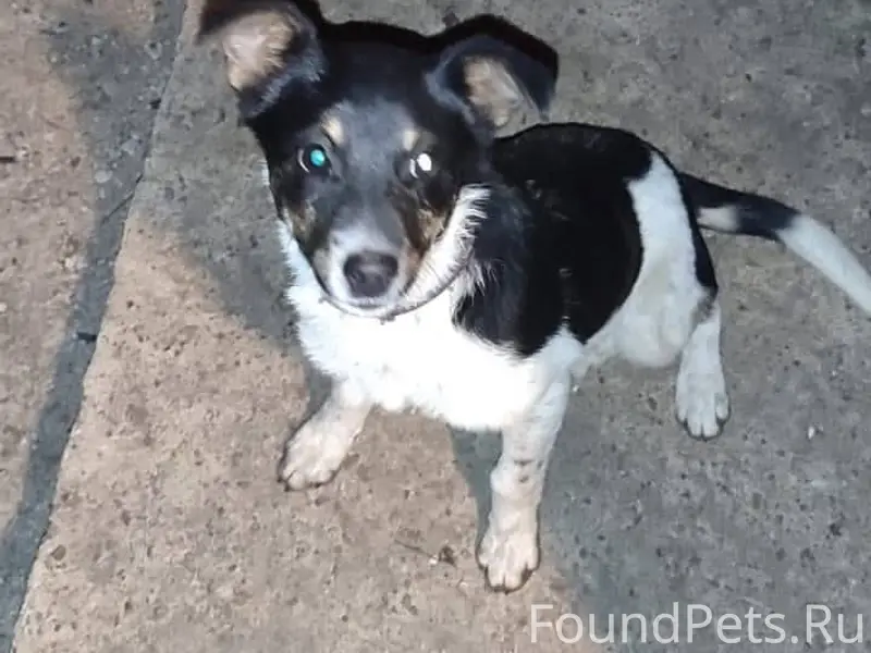 SOS!!! Срочно!!! Прибился к до...