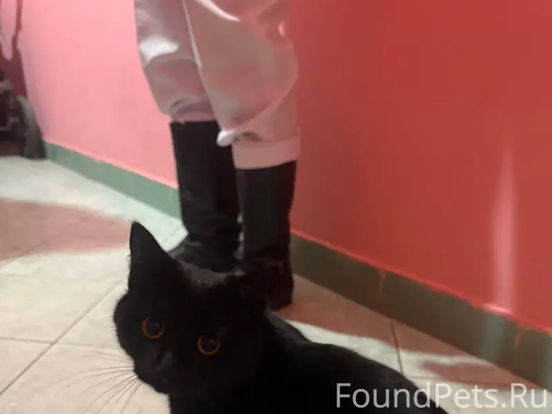 ‼️ ВНИМАНИЕ‼️ Бугульма❗️ Найде...