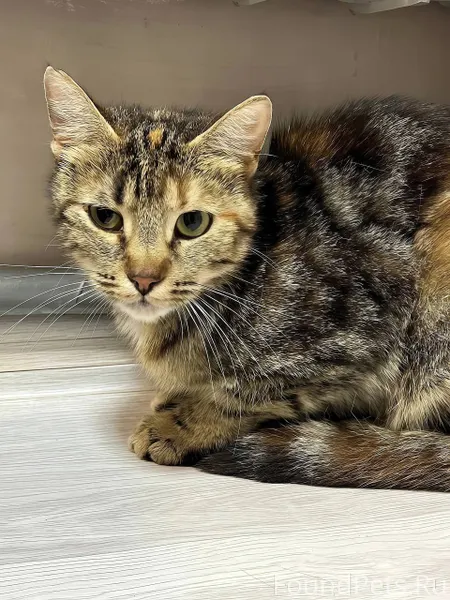 Она прошла пол города туда где...