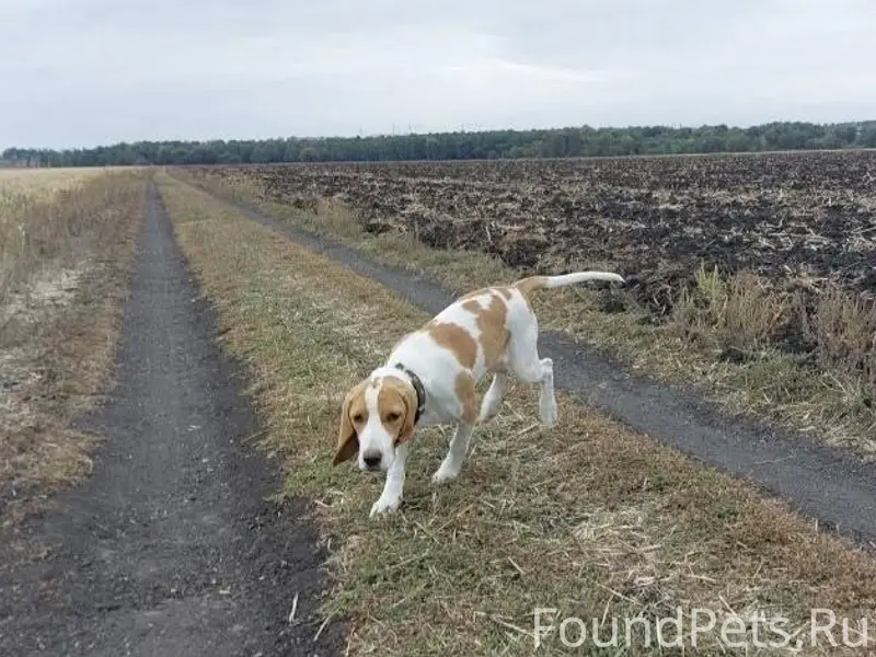 Помогите найти! Пропала молода...