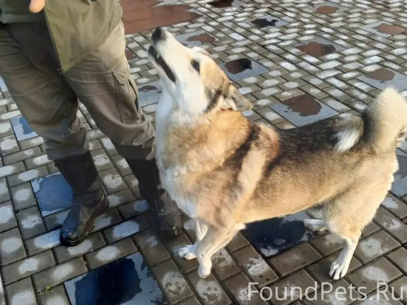 ДОРОГИЕ ДРУЗЬЯ, ПРОШУ СДЕЛАТЬ ...