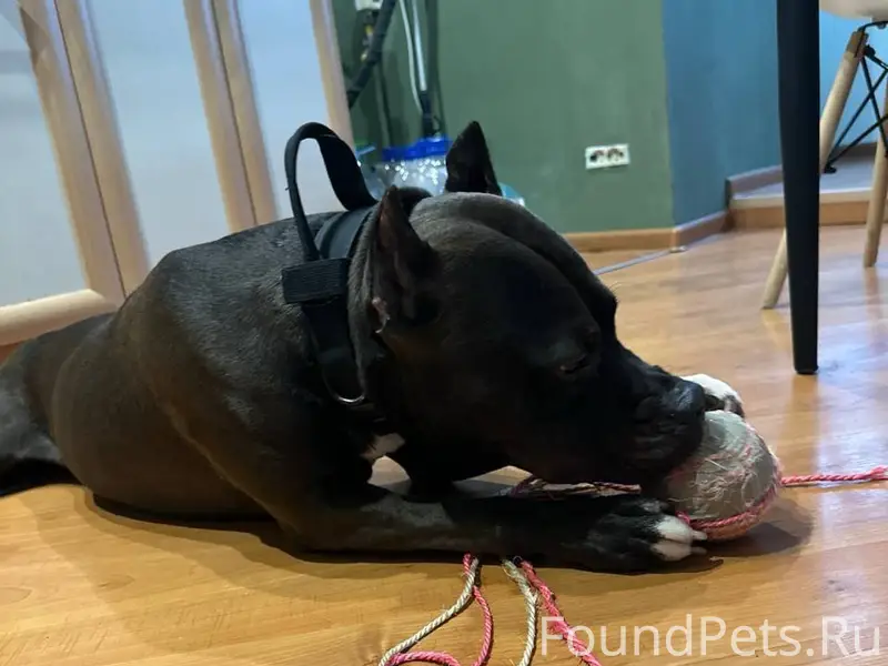 Опубликуйте, пожалуйста, пост🙏...