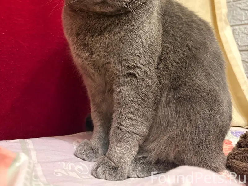 Помогите найти малыша🙏 В ночь ...