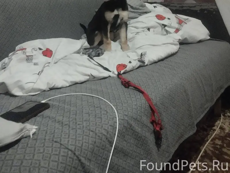 В ночь с 6 на 7...