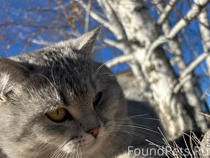 🆘🆘🆘🆘🆘🆘🆘🆘🆘🆘 Друзья, прошу макси...