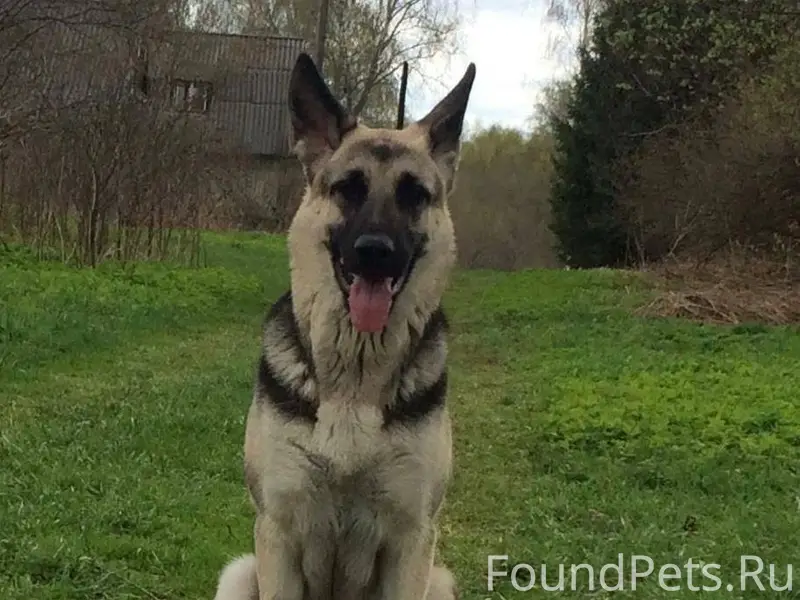 🆘🆘🆘🆘🆘🆘🆘🆘🆘🆘🆘🆘🆘🆘 ‼️ВНИМАНИЕ‼️ ‼️...