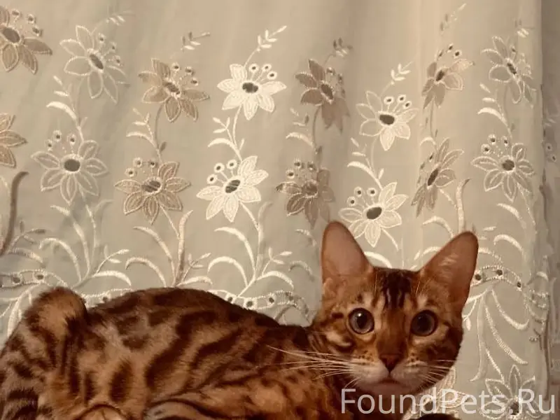 📍ул. Твардовского 22/3, Первом...