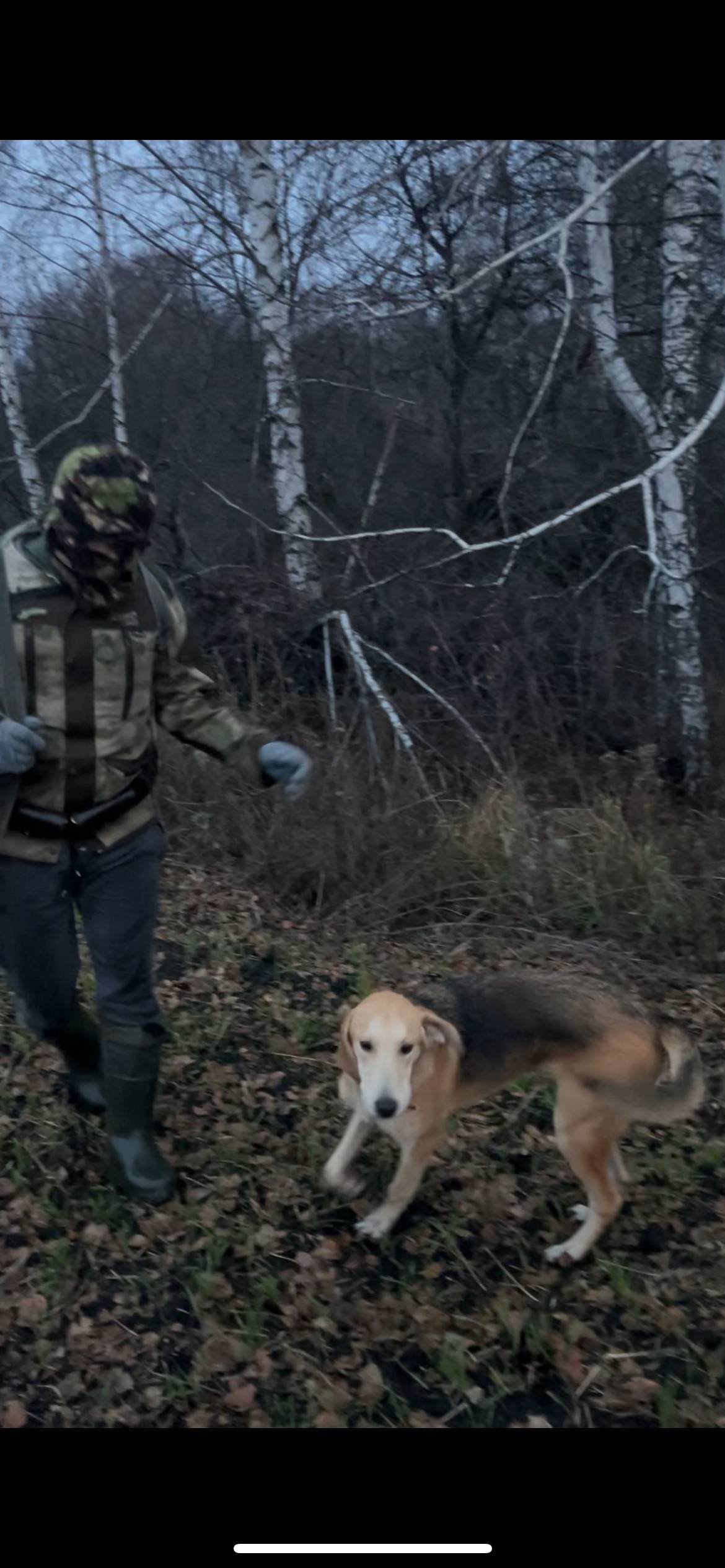 ПРОПАЛА СОБАКА Пропал мальчик,...