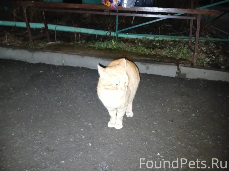 В дворах домов по ул.Юбилейной...