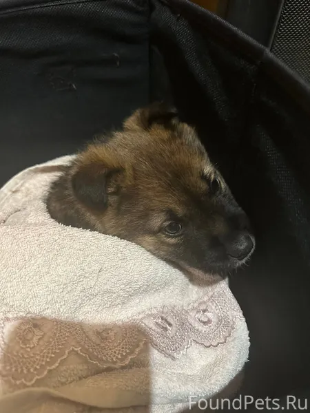 СРОЧНО НУЖНА ПЕРЕДЕРЖКА ИЛИ ДО...