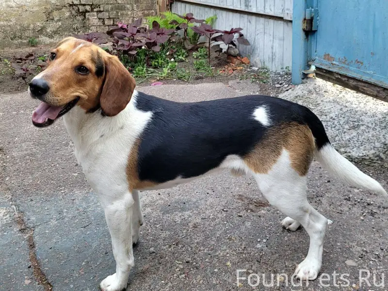 Друзья, просим помощи❗️❗️❗️ В ...