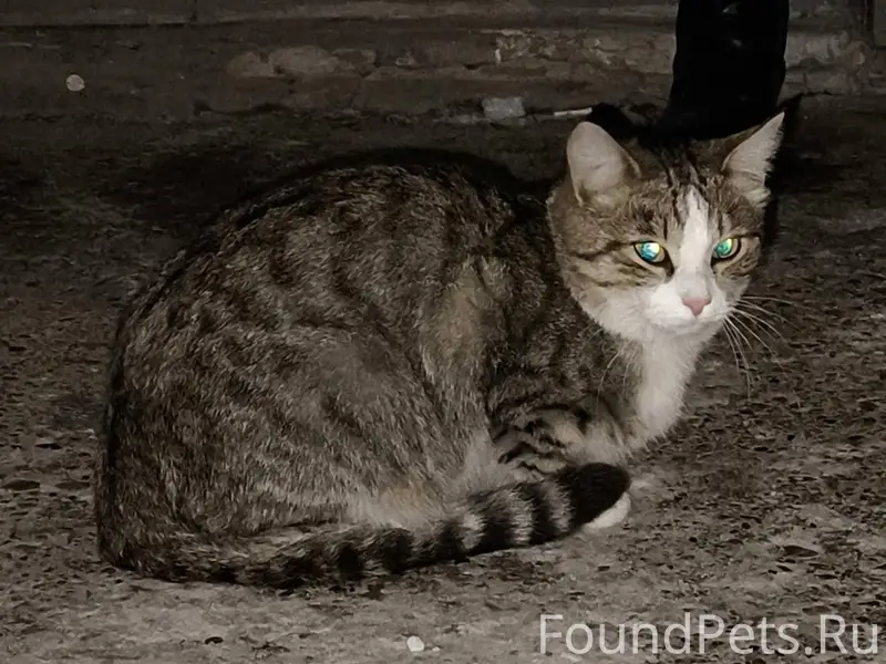 БОРОВСК Ранний пост про молодо...