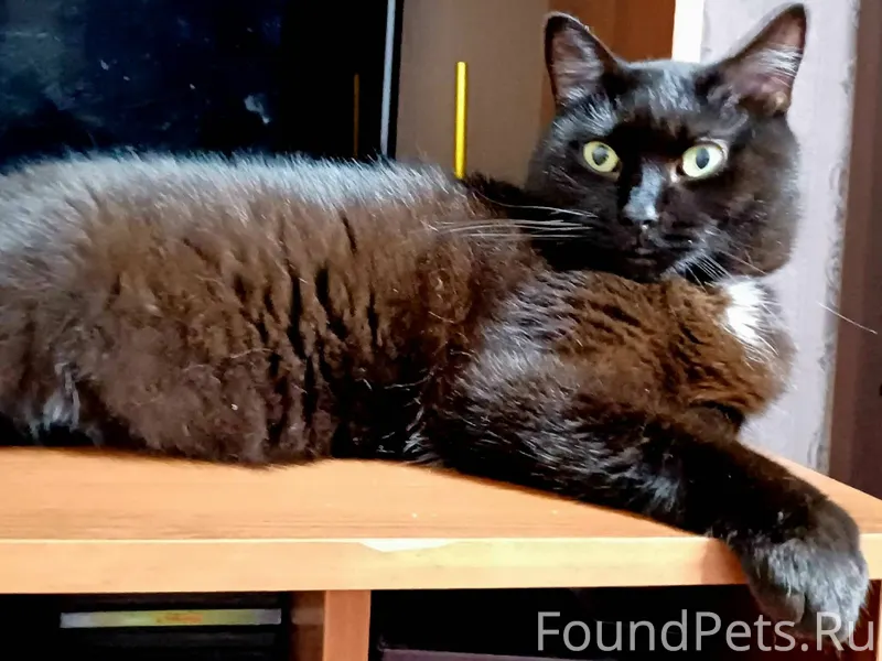 В районе лодочной станции проп...