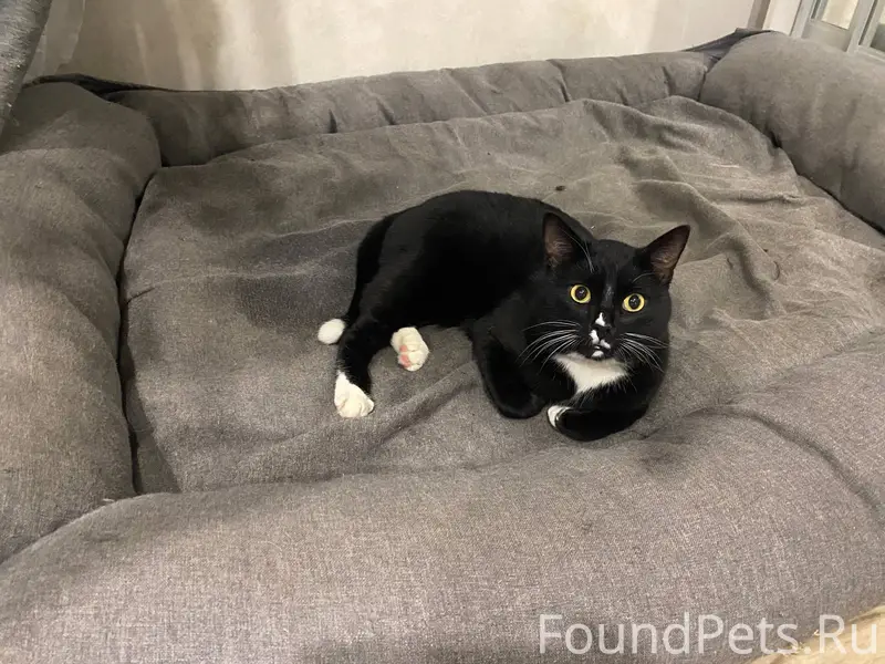 Доброе утро ☀️ В нашем подъезд...