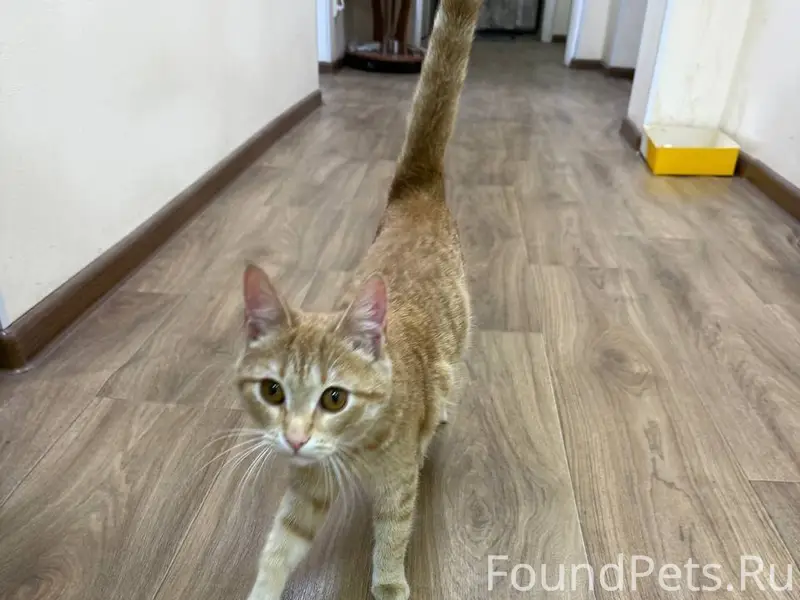 Во дворе Украинской 34 найдена...