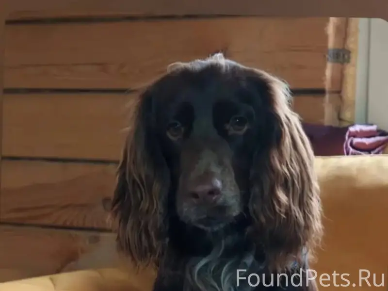 SOS Добрый день! В нашей семье...