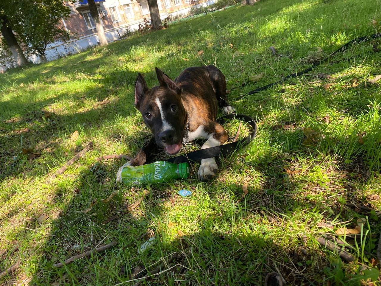 Пропал член семьи! В районе пе...