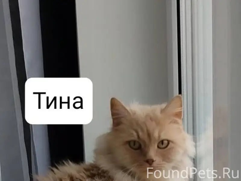 МО г Талдом, Дмитров, Дубна и....