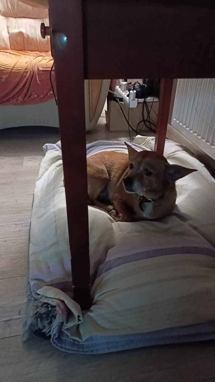 Вчера вечером нашли маленькую ...