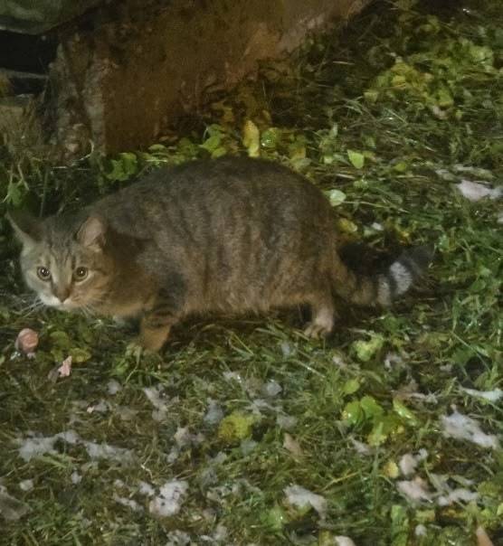 ⚠️ В Панковке у Магнита (что.....