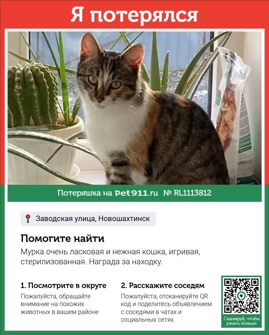 Пропала кошка! Пожалуйста, мак...