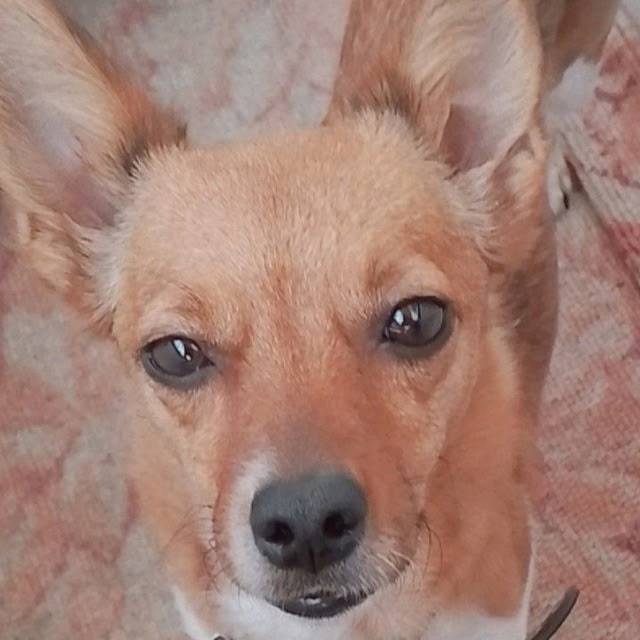 🆘❓❓❓🆘 Потерялась на 10 микрора...