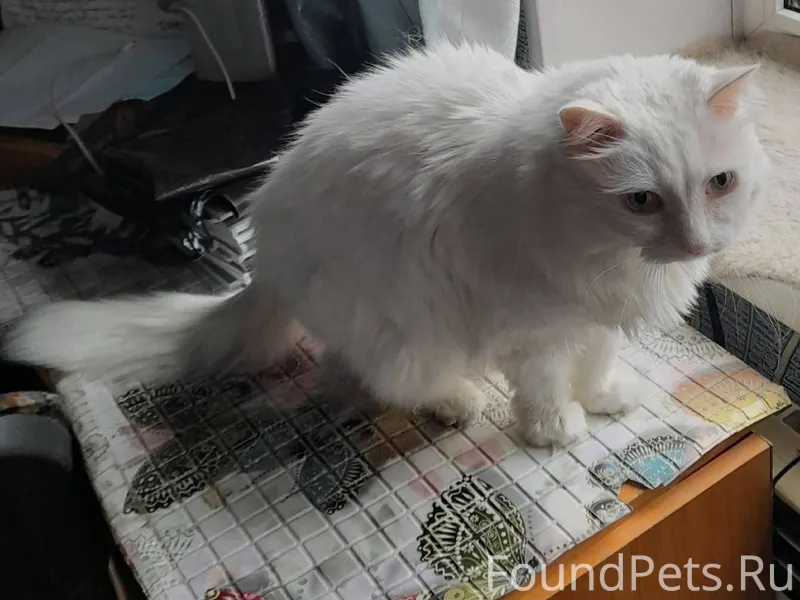 Кто живет в районе 49 квартала...