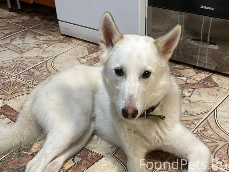 Добрый день. 7 декабря в Тайца...