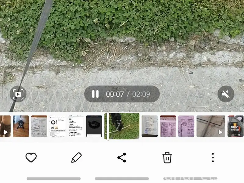 Убежал 07.12.2025. ягдтерьер щ...