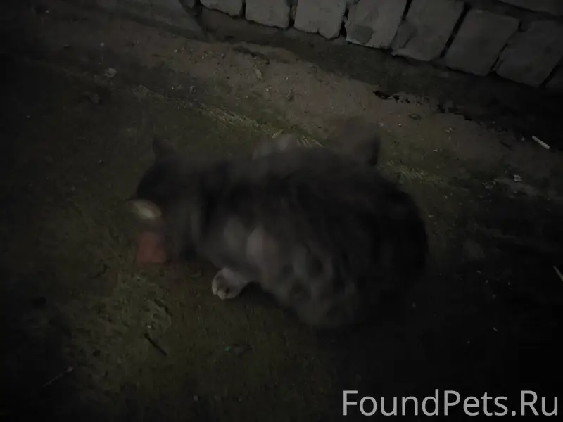 Около подъезда №1 по ул. Грибо...