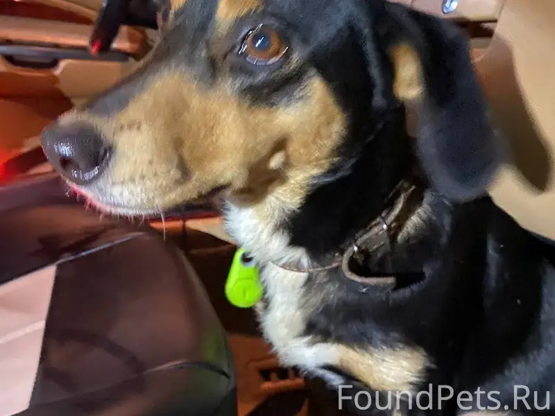 ‼️‼️‼️‼️‼️‼️‼️‼️‼️‼️‼️‼️ Богор...