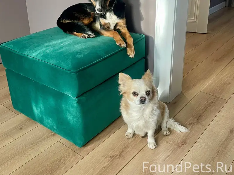 🆘⚡❗ Помогите найти ❗⚡🆘 ⚠09.12....