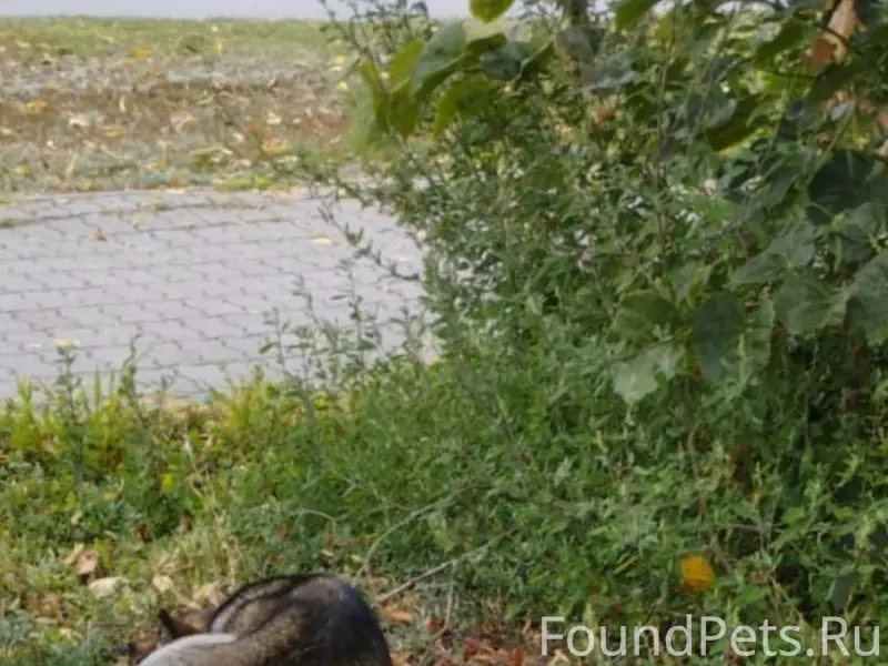 Доброго времени суток. Прошу п...