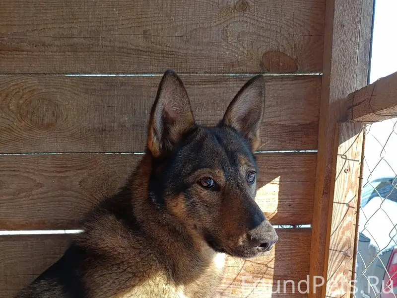 🆘️ЩЕКИНО 🆘️ ВЧЕРА 8.12.25...