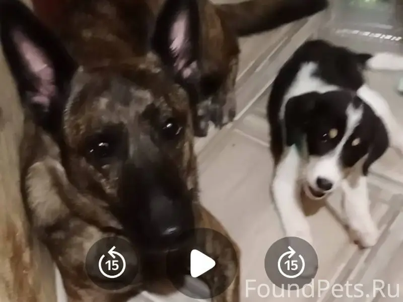 В районе 15.00 в 5...