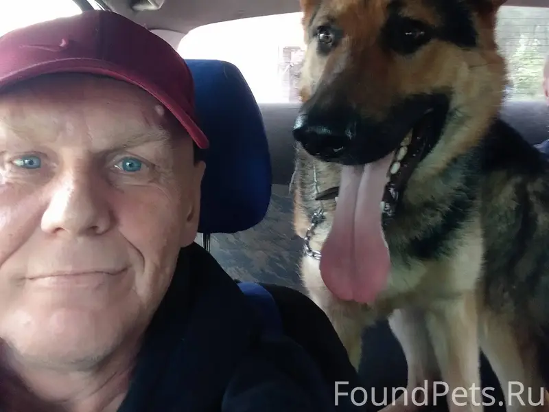 ❗Помогите найти собаку! ❗ ❗У м...