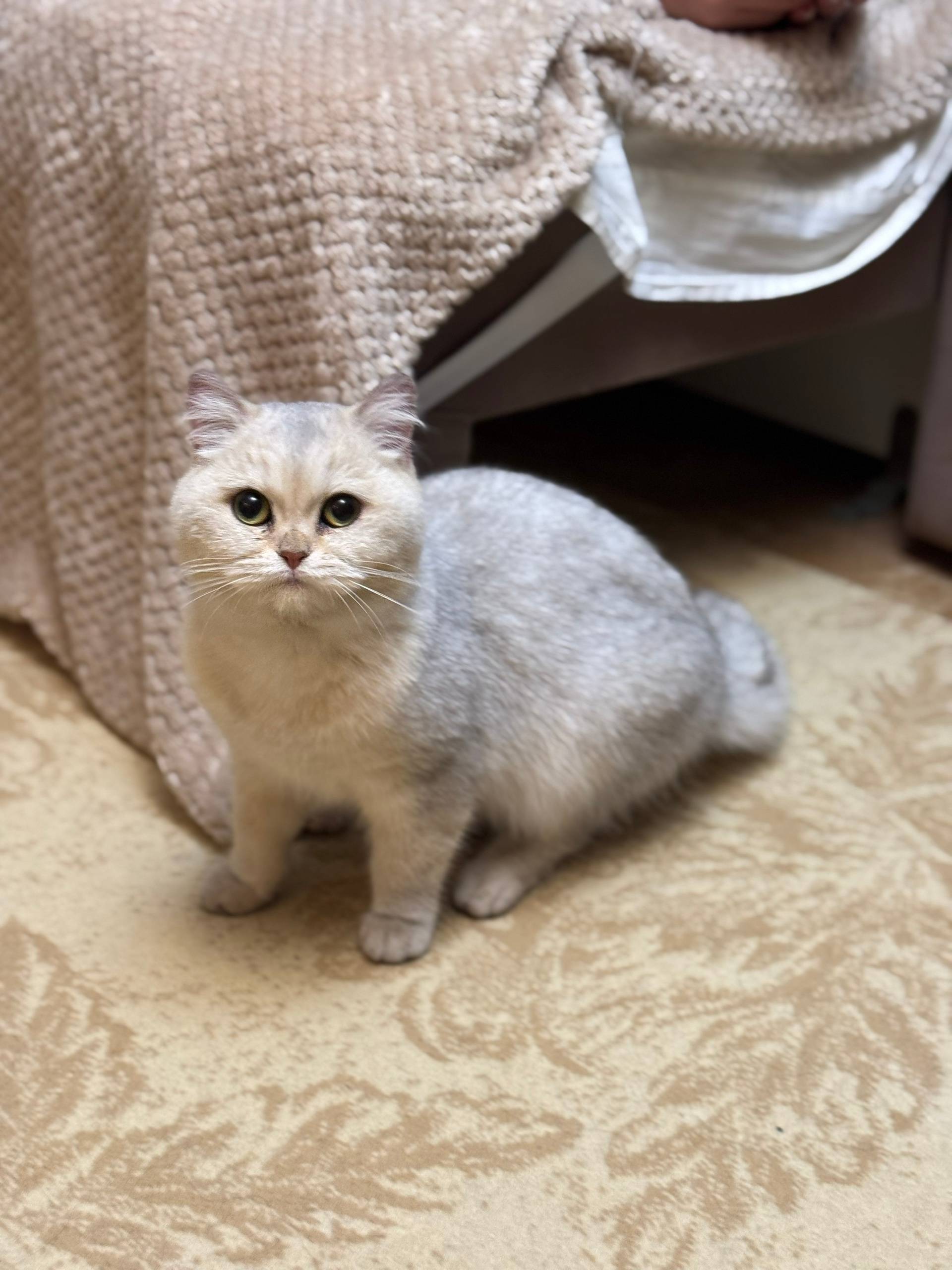 Админ, опубликуй пожалуйста. Н...