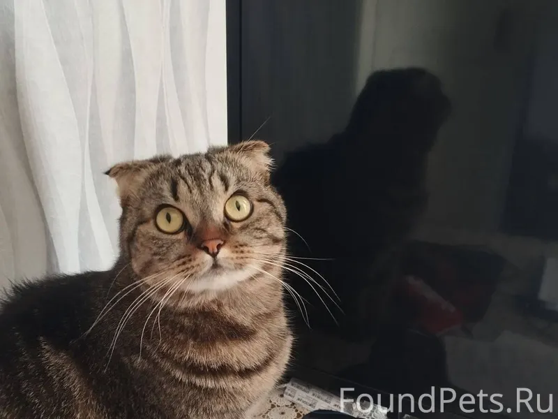 ‼️Внимание‼️Малиновка‼️Р-н "Пя...