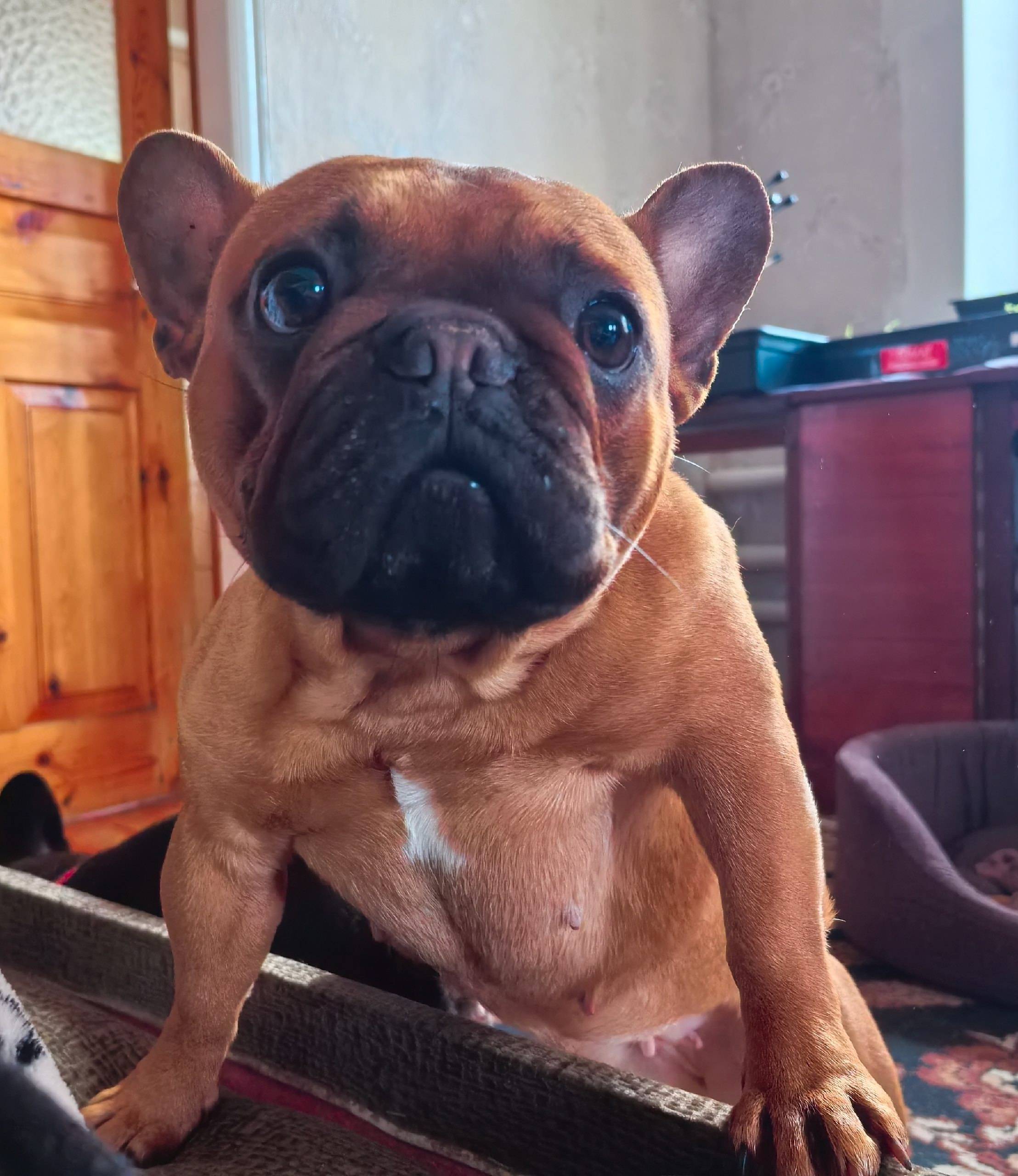 Пожалуйста максимальный репост...